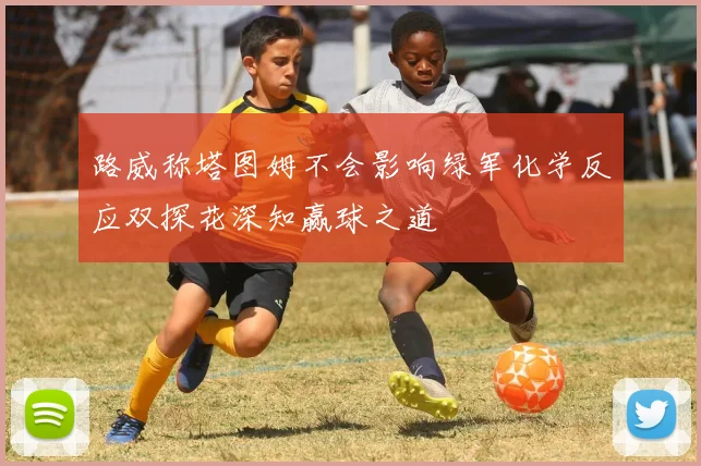 路威称塔图姆不会影响绿军化学反应双探花深知赢球之道